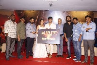 Karthikeya 2 Movie Press Meet